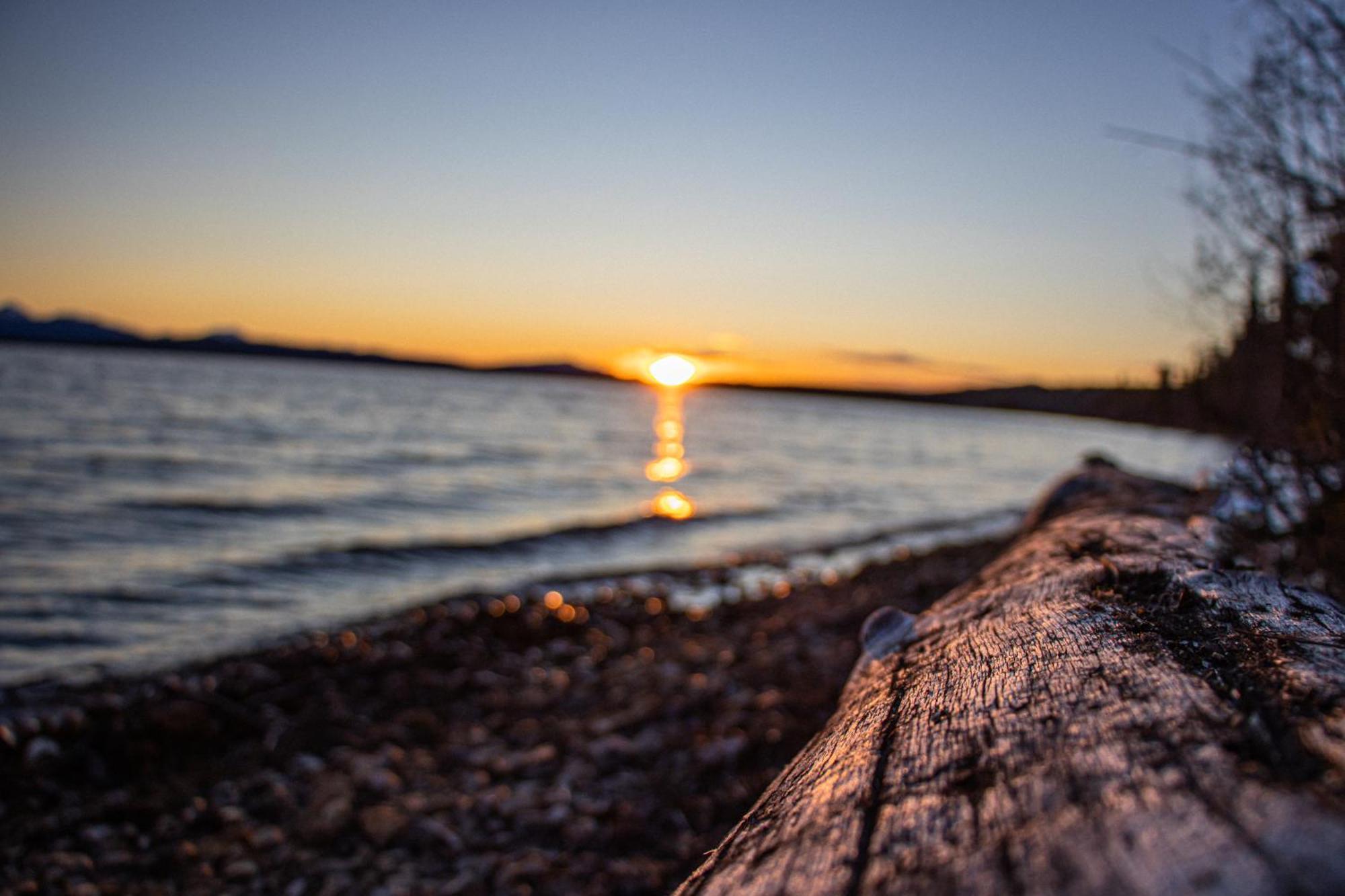 Little Atlin Lodge Tagish Dış mekan fotoğraf