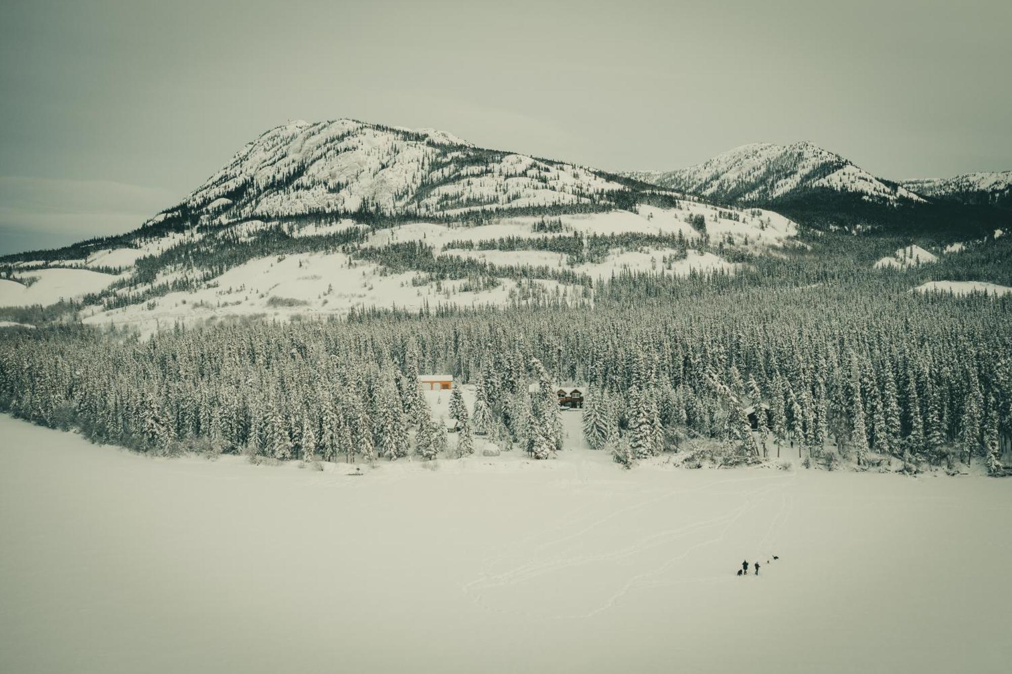 Little Atlin Lodge Tagish Dış mekan fotoğraf