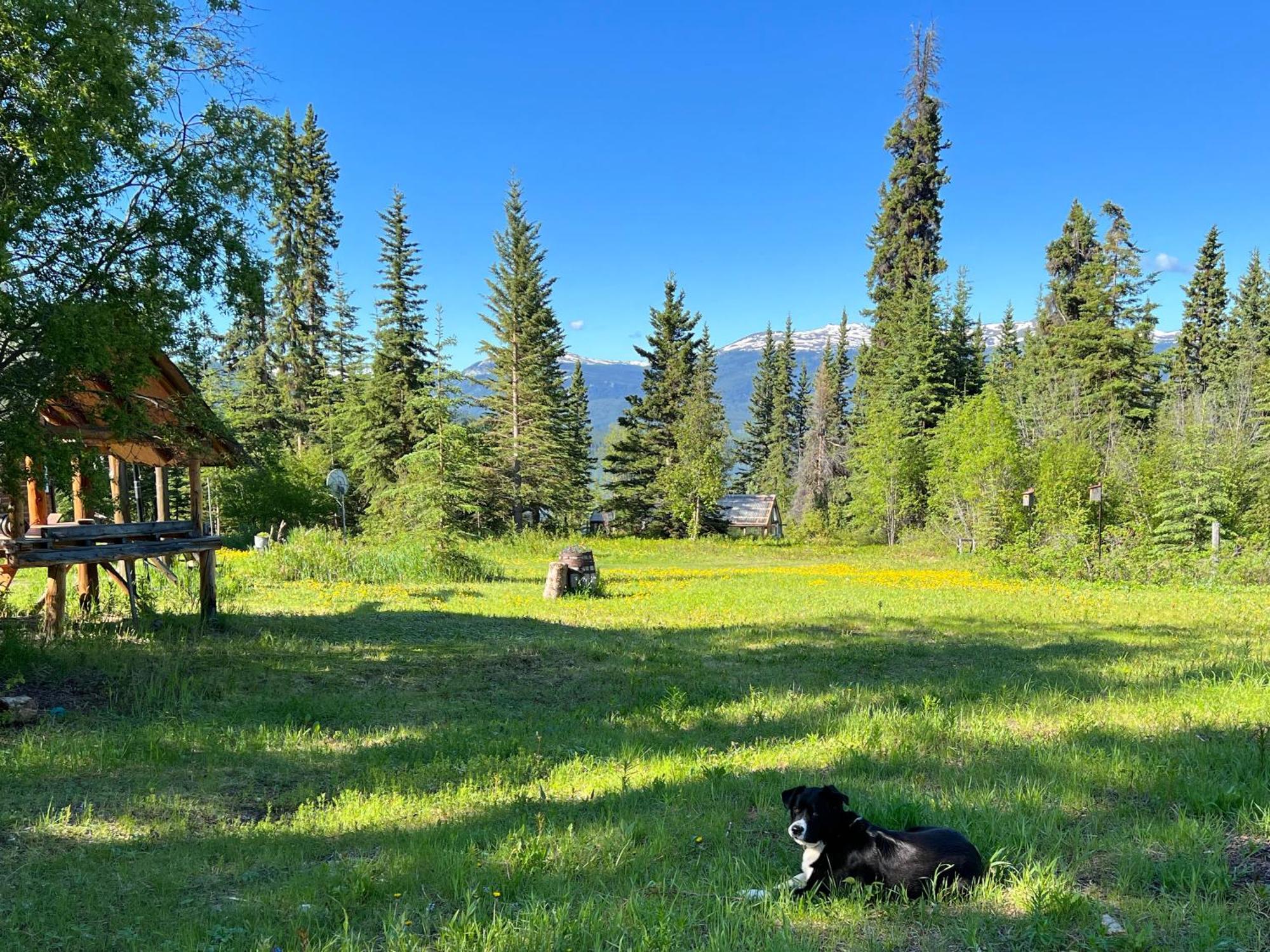 Little Atlin Lodge Tagish Dış mekan fotoğraf